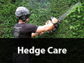 /services/hedge-care/